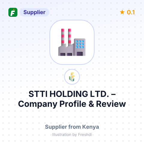 STTI HOLDING LTD. – summary card, no photo uploaded yet