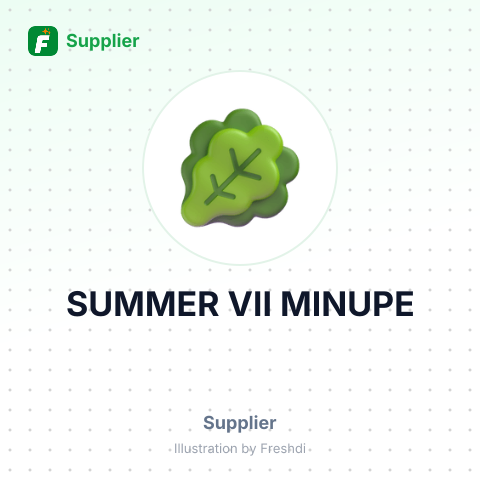 SUMMER VII MINUPE – summary card, no photo uploaded yet