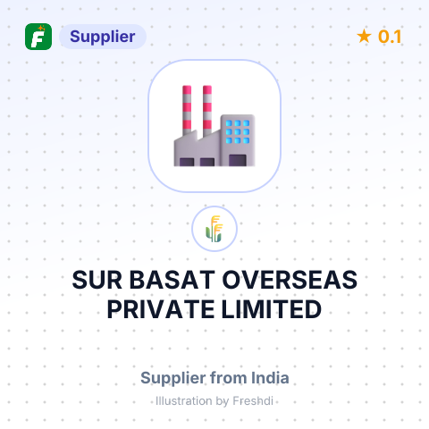 SUR BASAT OVERSEAS PRIVATE LIMITED – summary card, no photo uploaded yet