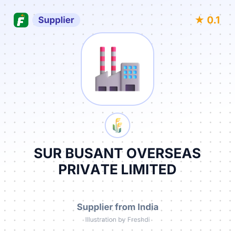 SUR BUSANT OVERSEAS PRIVATE LIMITED – summary card, no photo uploaded yet