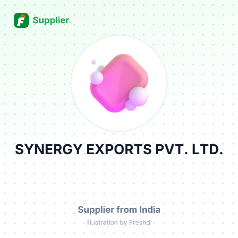 SYNERGY EXPORTS PVT. LTD. – summary card, no photo uploaded yet