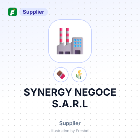 SYNERGY NEGOCE S.A.R.L – summary card, no photo uploaded yet