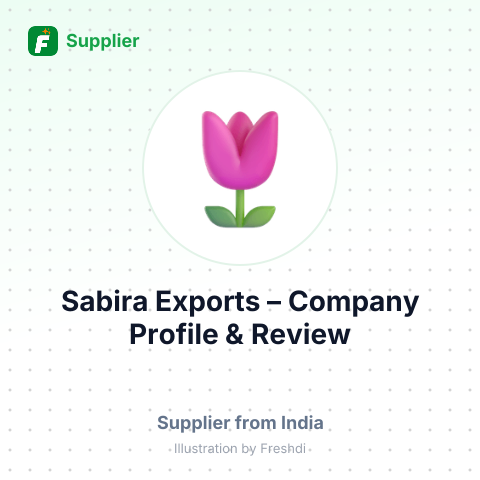 Sabira Exports – summary card, no photo uploaded yet