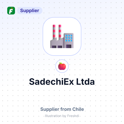 SadechiEx Ltda – summary card, no photo uploaded yet