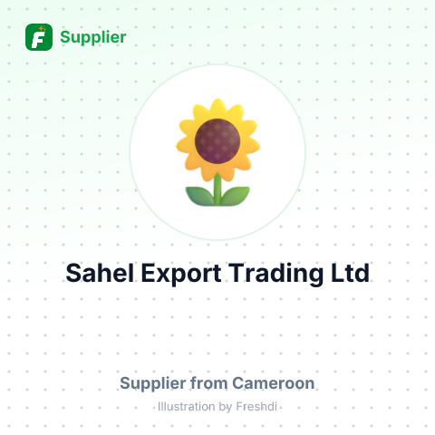 Sahel Export Trading Ltd – summary card, no photo uploaded yet