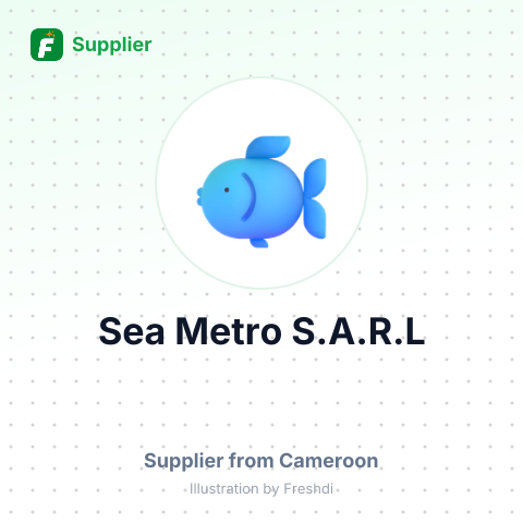 Sea Metro S.A.R.L – summary card, no photo uploaded yet