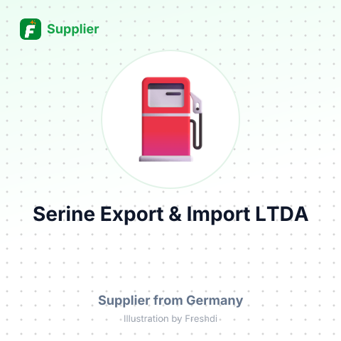 Serine Export & Import LTDA – summary card, no photo uploaded yet