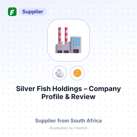 Silver Fish Holdings – summary card, no photo uploaded yet