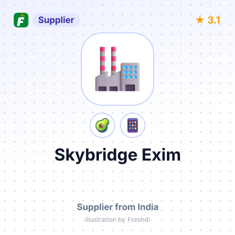Skybridge Exim – summary card, no photo uploaded yet