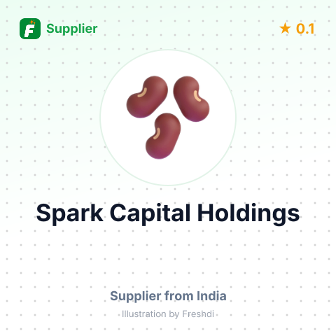 Spark Capital Holdings  – summary card, no photo uploaded yet