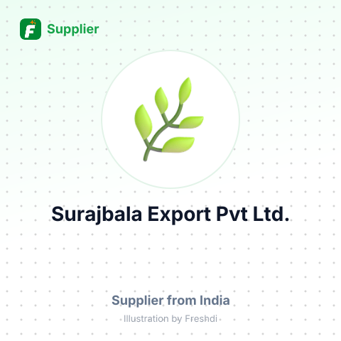 Surajbala Export Pvt Ltd. – summary card, no photo uploaded yet