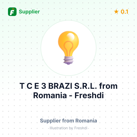 T C E 3 BRAZI S.R.L. – summary card, no photo uploaded yet