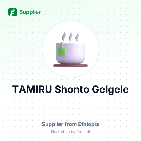 TAMIRU Shonto  Gelgele – summary card, no photo uploaded yet
