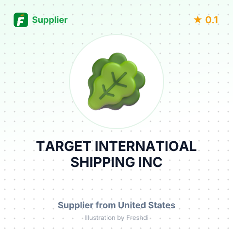 TARGET INTERNATIOAL SHIPPING INC – summary card, no photo uploaded yet