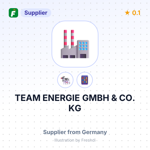 TEAM ENERGIE GMBH & CO. KG – summary card, no photo uploaded yet
