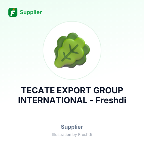 TECATE EXPORT GROUP INTERNATIONAL – summary card, no photo uploaded yet