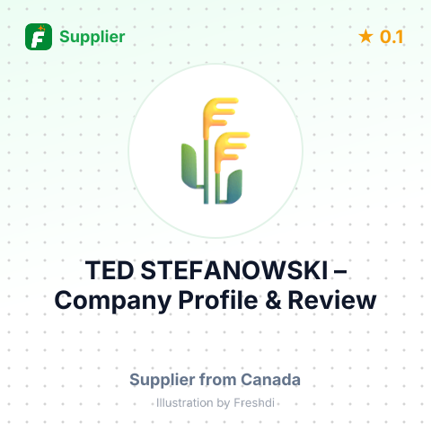 TED STEFANOWSKI – summary card, no photo uploaded yet
