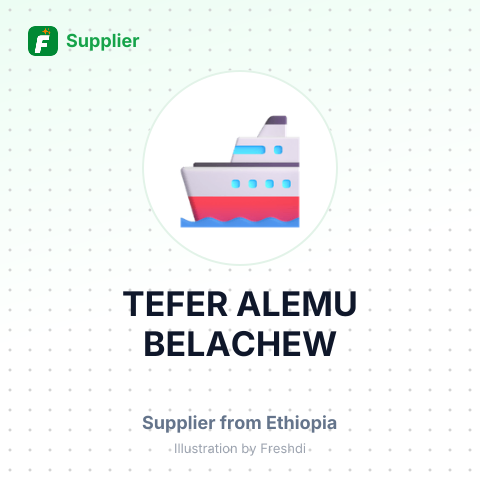 TEFER ALEMU BELACHEW – summary card, no photo uploaded yet