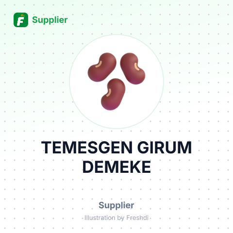 TEMESGEN GIRUM DEMEKE – summary card, no photo uploaded yet