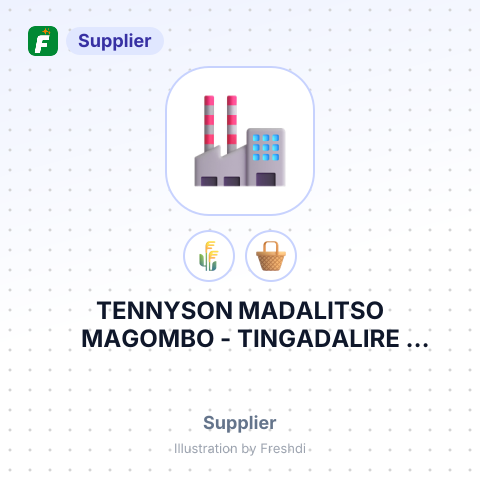 TENNYSON MADALITSO MAGOMBO - TINGADALIRE ORGANIC FOOD PRODUCTS – summary card, no photo uploaded yet