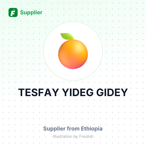 TESFAY YIDEG GIDEY – summary card, no photo uploaded yet