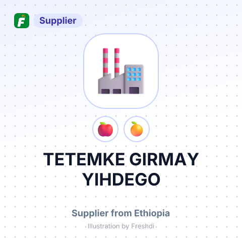 TETEMKE GIRMAY YIHDEGO – summary card, no photo uploaded yet
