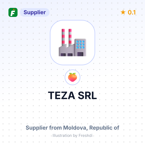 TEZA SRL – summary card, no photo uploaded yet