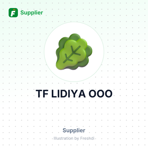 TF LIDIYA OOO – summary card, no photo uploaded yet