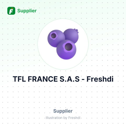 TFL FRANCE S.A.S – summary card, no photo uploaded yet