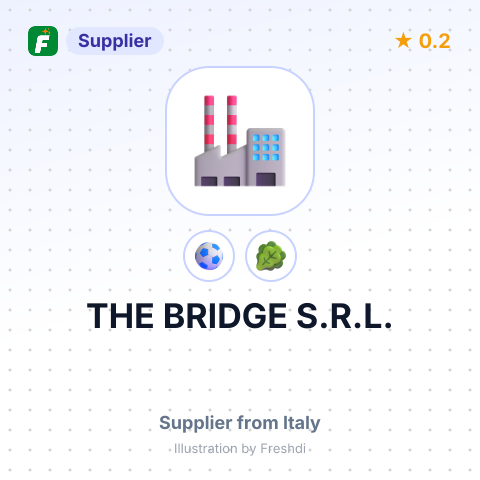 THE BRIDGE S.R.L. – summary card, no photo uploaded yet