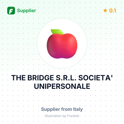 THE BRIDGE S.R.L. SOCIETA' UNIPERSONALE – summary card, no photo uploaded yet