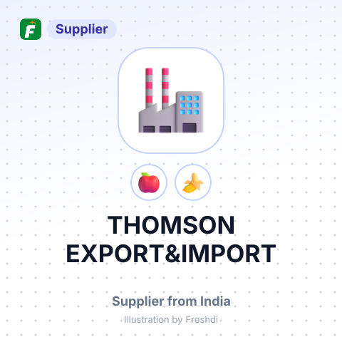 THOMSON EXPORT&IMPORT – summary card, no photo uploaded yet