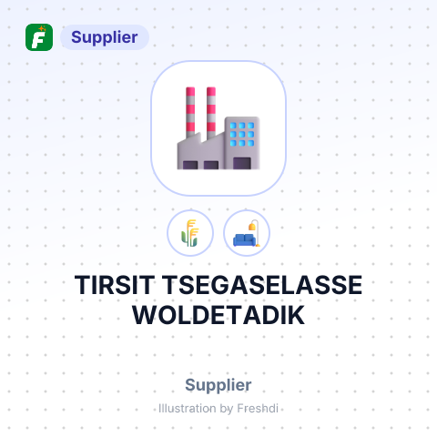 TIRSIT TSEGASELASSE WOLDETADIK – summary card, no photo uploaded yet
