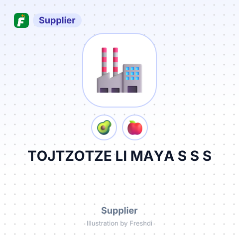 TOJTZOTZE LI MAYA S S S – summary card, no photo uploaded yet