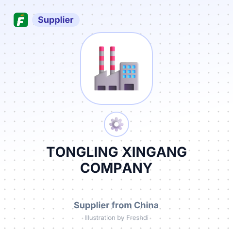 TONGLING XINGANG COMPANY – summary card, no photo uploaded yet