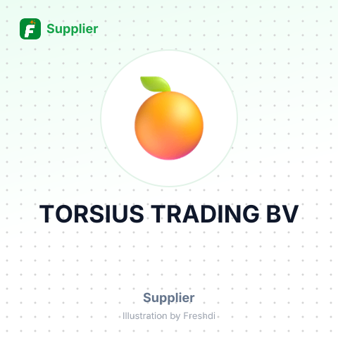 TORSIUS TRADING BV – summary card, no photo uploaded yet
