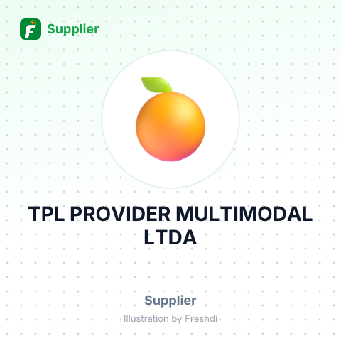 TPL PROVIDER MULTIMODAL LTDA – summary card, no photo uploaded yet