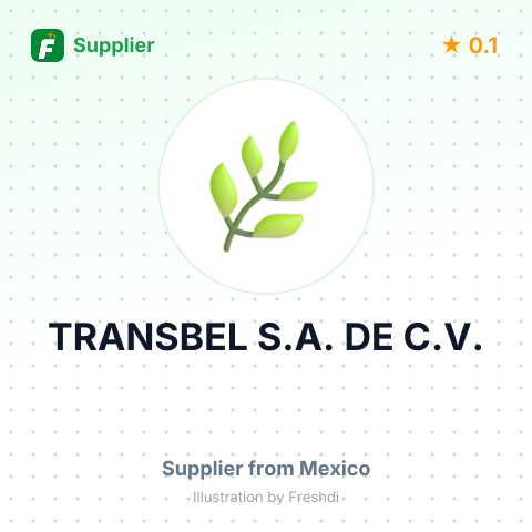 TRANSBEL S.A. DE C.V. – summary card, no photo uploaded yet
