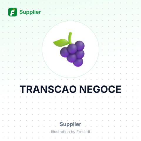 TRANSCAO NEGOCE – summary card, no photo uploaded yet
