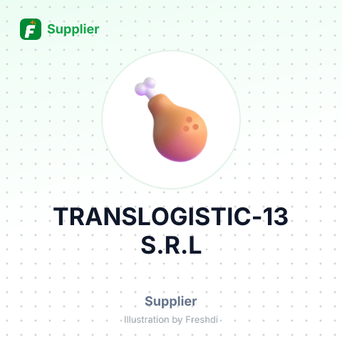 TRANSLOGISTIC-13 S.R.L – summary card, no photo uploaded yet