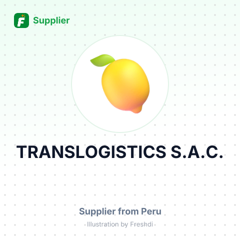 TRANSLOGISTICS S.A.C. – summary card, no photo uploaded yet