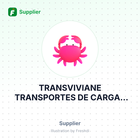 TRANSVIVIANE TRANSPORTES DE CARGAS LTDA – summary card, no photo uploaded yet