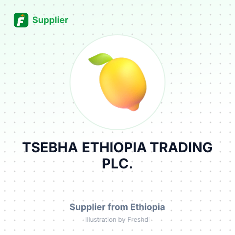 TSEBHA ETHIOPIA TRADING PLC. – summary card, no photo uploaded yet