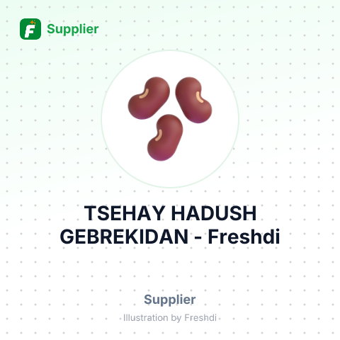 TSEHAY HADUSH GEBREKIDAN – summary card, no photo uploaded yet