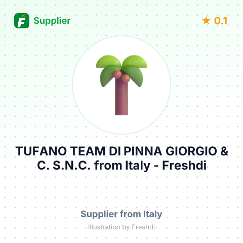 TUFANO TEAM DI PINNA GIORGIO & C. S.N.C. – summary card, no photo uploaded yet