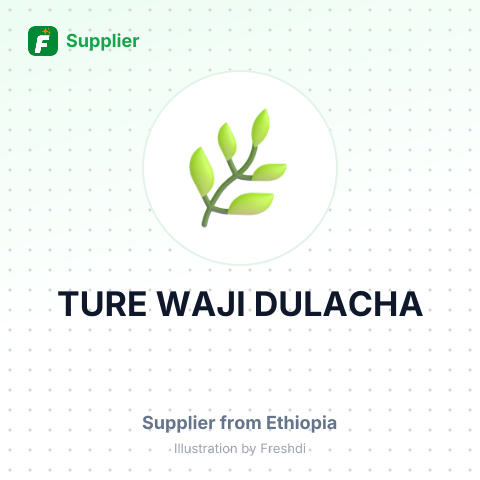 TURE WAJI DULACHA – summary card, no photo uploaded yet