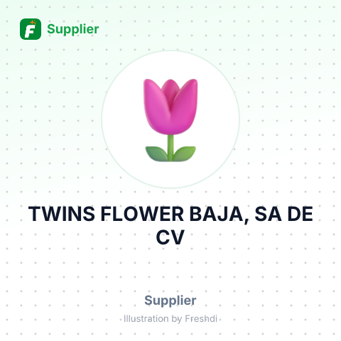 TWINS FLOWER BAJA, SA DE CV – summary card, no photo uploaded yet