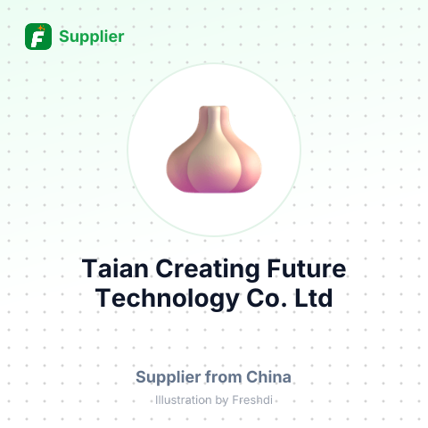 Taian Creating Future Technology Co., Ltd – summary card, no photo uploaded yet