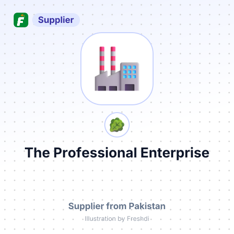 The Professional Enterprise – summary card, no photo uploaded yet