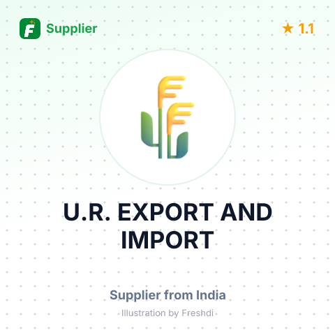 U.R. EXPORT AND IMPORT  – summary card, no photo uploaded yet